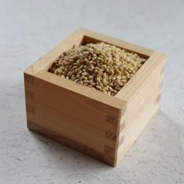 緑米【500g】(有機栽培)
